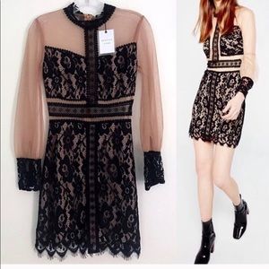 AMAZING Long Sleeve Mesh Dress with Black Lace 🖤